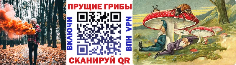Псилоцибиновые грибы Magic Shrooms Пудож